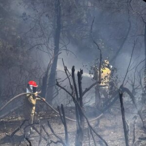 osmaniyede orman yangini kontrol altinda l13RGkFc