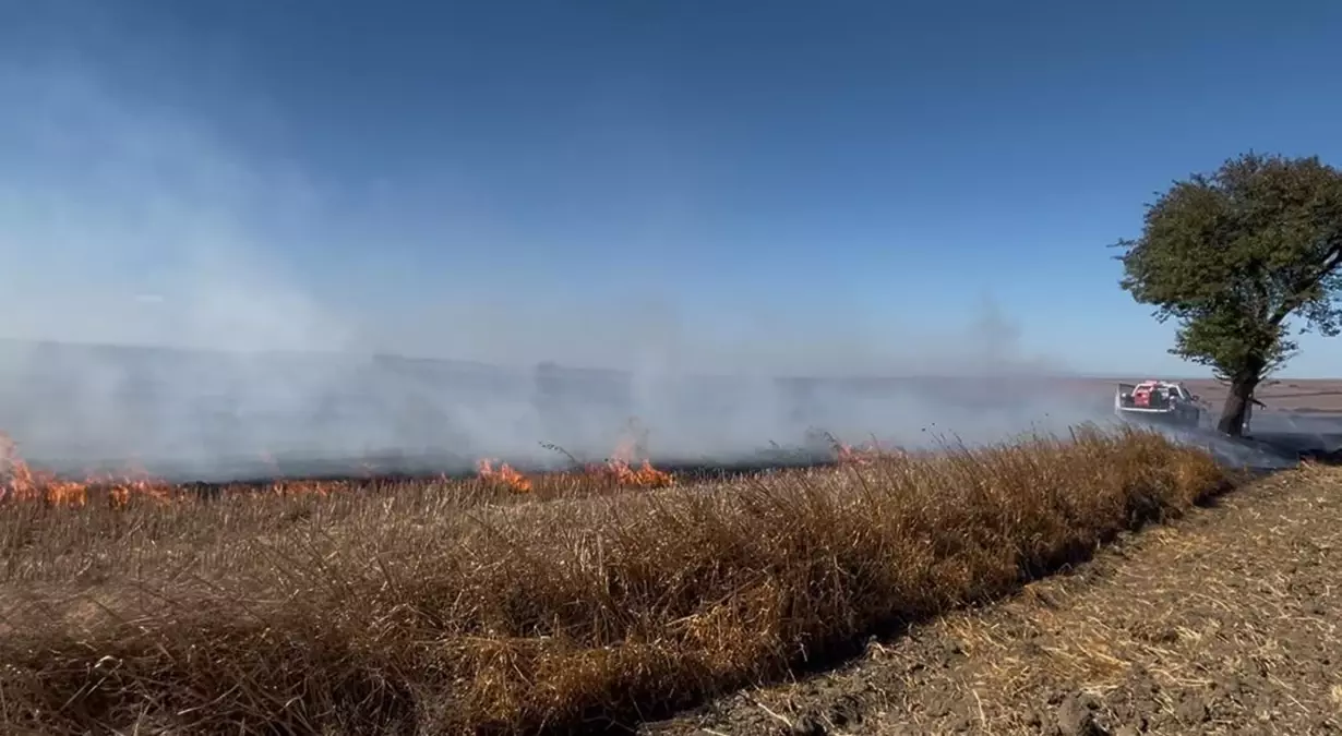 corluda aniz yangini kontrol altina alindi fjQOhv1C