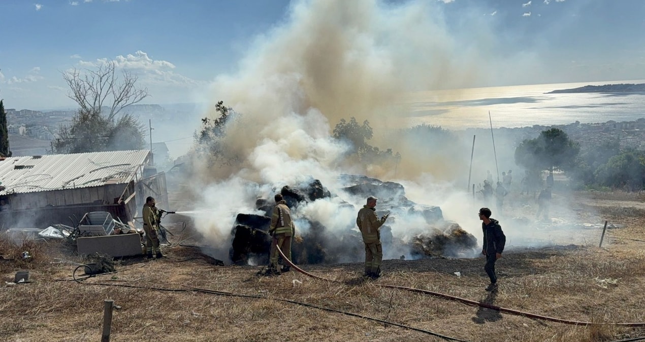 istanbulda saman balyalari kule dondu WW6OzryV