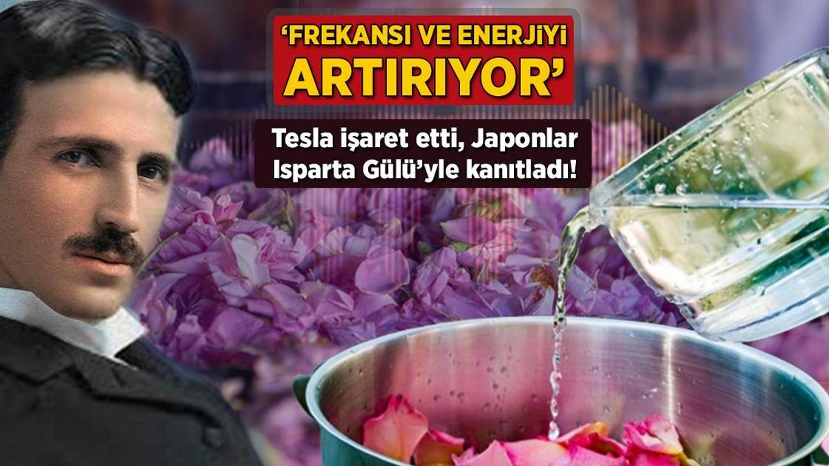tesla isaret etti japonlar isparta guluyle kanitladi frekansi ve enerjiyi artiriyor Sw5FzB4J.jpg