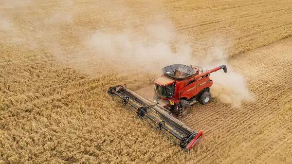 tuik eylul verilerini acikladi tarimda uretici fiyatlari yukseldi r31TwBt4.jpg