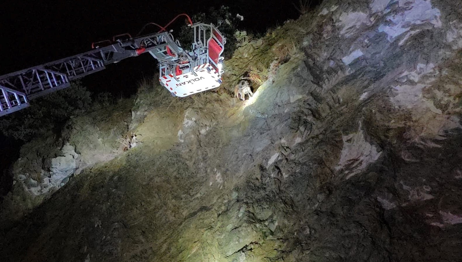 ucurumun ortasinda mahsur kalan kopege itfaiye yetisti dbX4jWCI.jpg